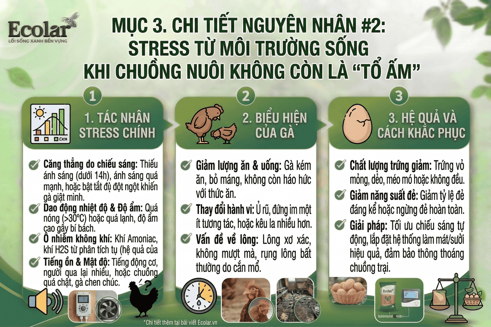 uong-song-chuong-nuoi-khong-con-to-am_68bcf0d97e2d4122a2a599e41d038121 - Copy.png