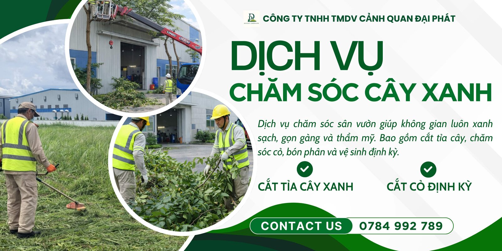 dịch vụ cưa cây cắt cỏ 070426 3.jpg