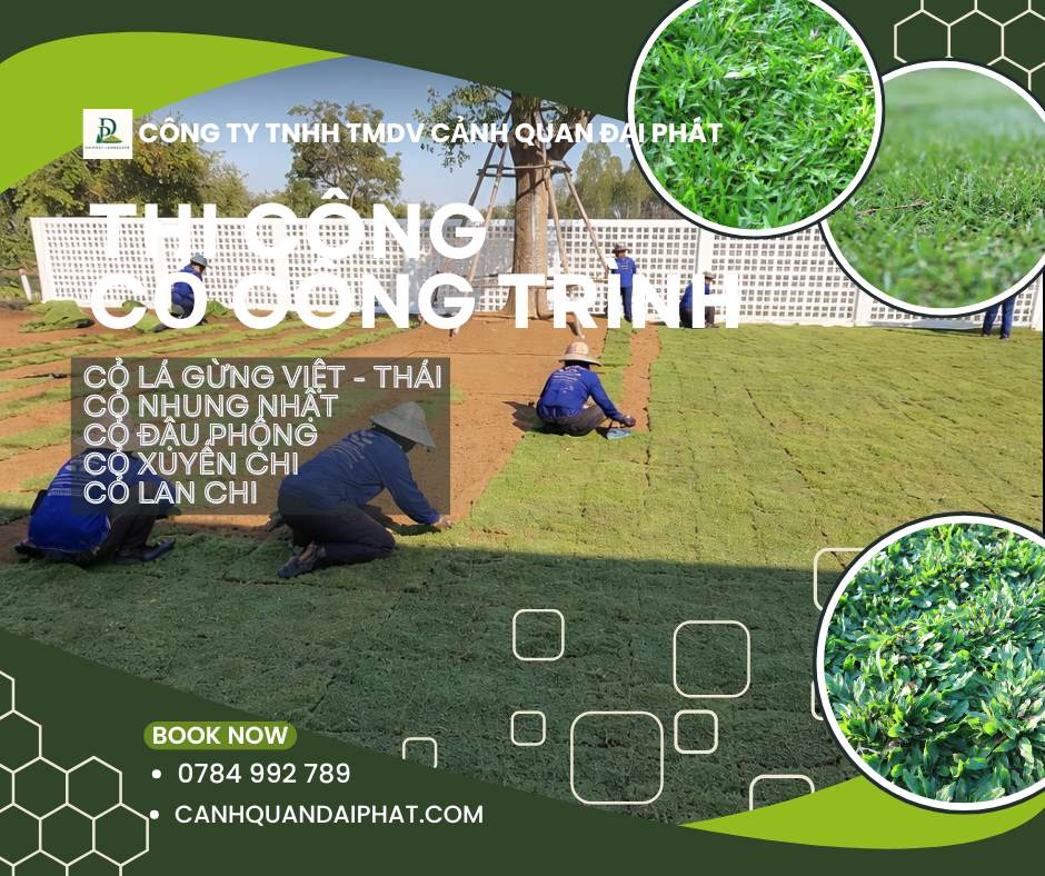 thi công cỏ nhung nhật nhà máy nhà xưởng Đồng Nai 6.jpg