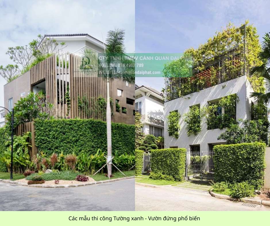 thiết kế thi công tường xanh vườn đứng 210126 06.jpg