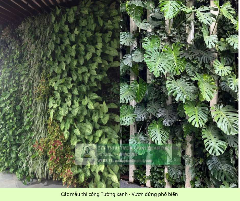 thiết kế thi công tường xanh vườn đứng 210126 08.jpg