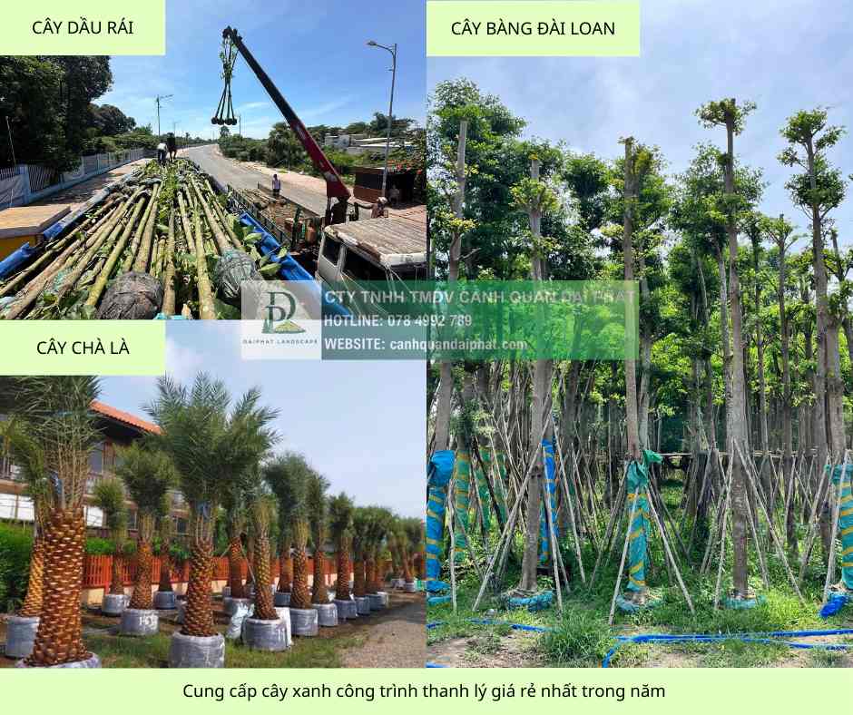 cung cấp cây xanh công trình giả rẻ nhất đồng nai 1.jpg