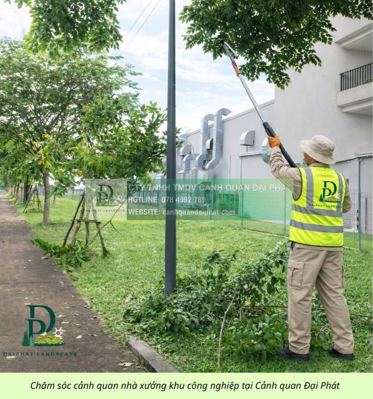 chăm sóc cảnh quan công ty nhà xưởng khu công nghiệp 090226 2.jpg