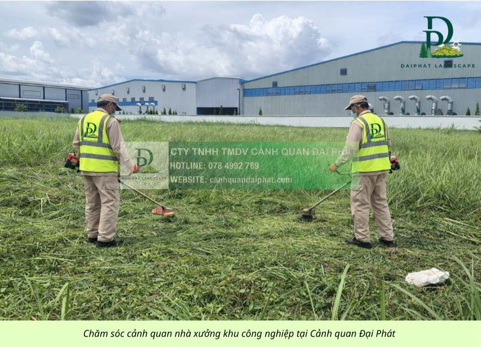 chăm sóc cảnh quan công ty nhà xưởng khu công nghiệp 090226 8.jpg