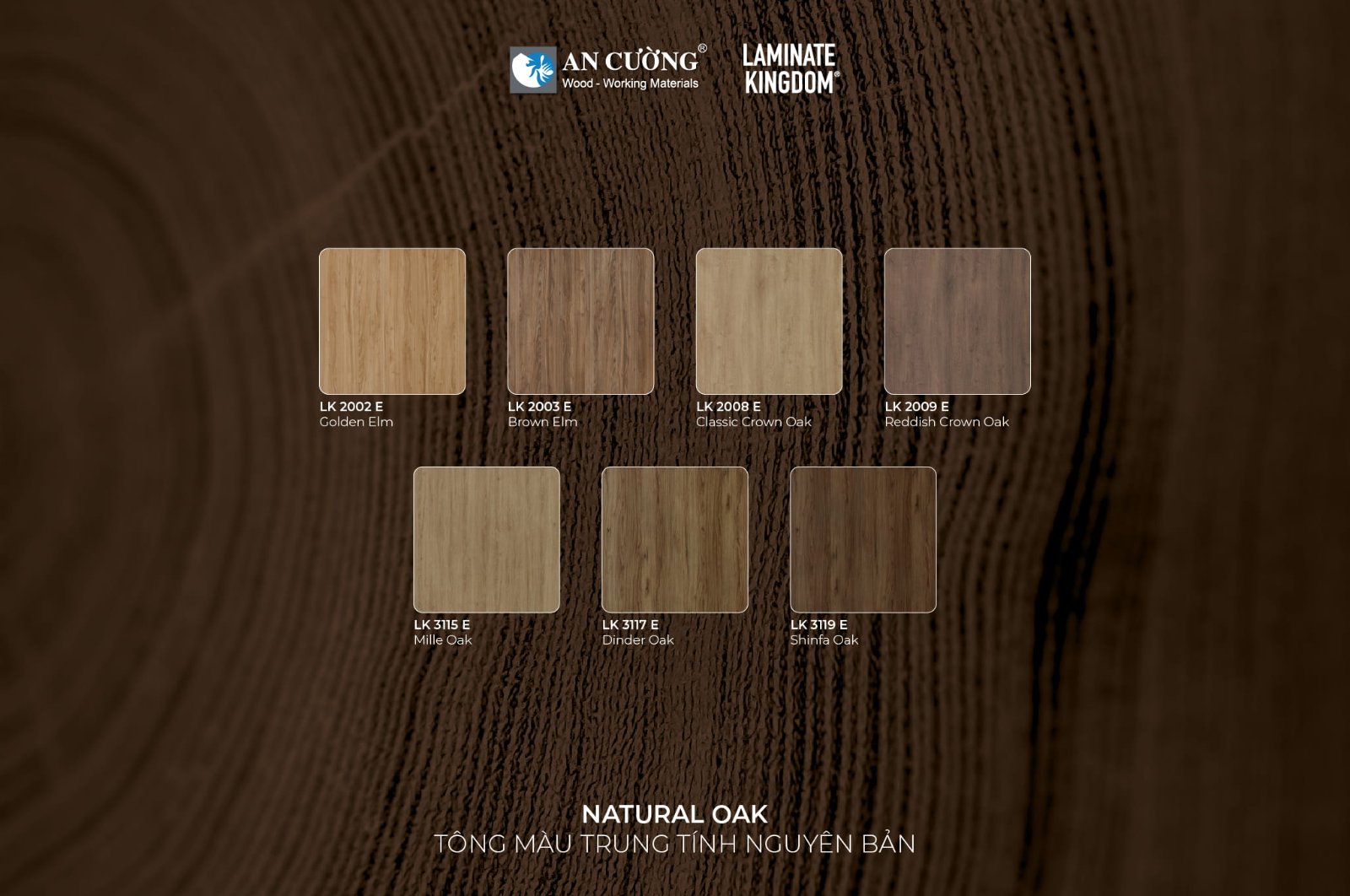 laminate-kingdom-synchronized-ancuong-03.jpg