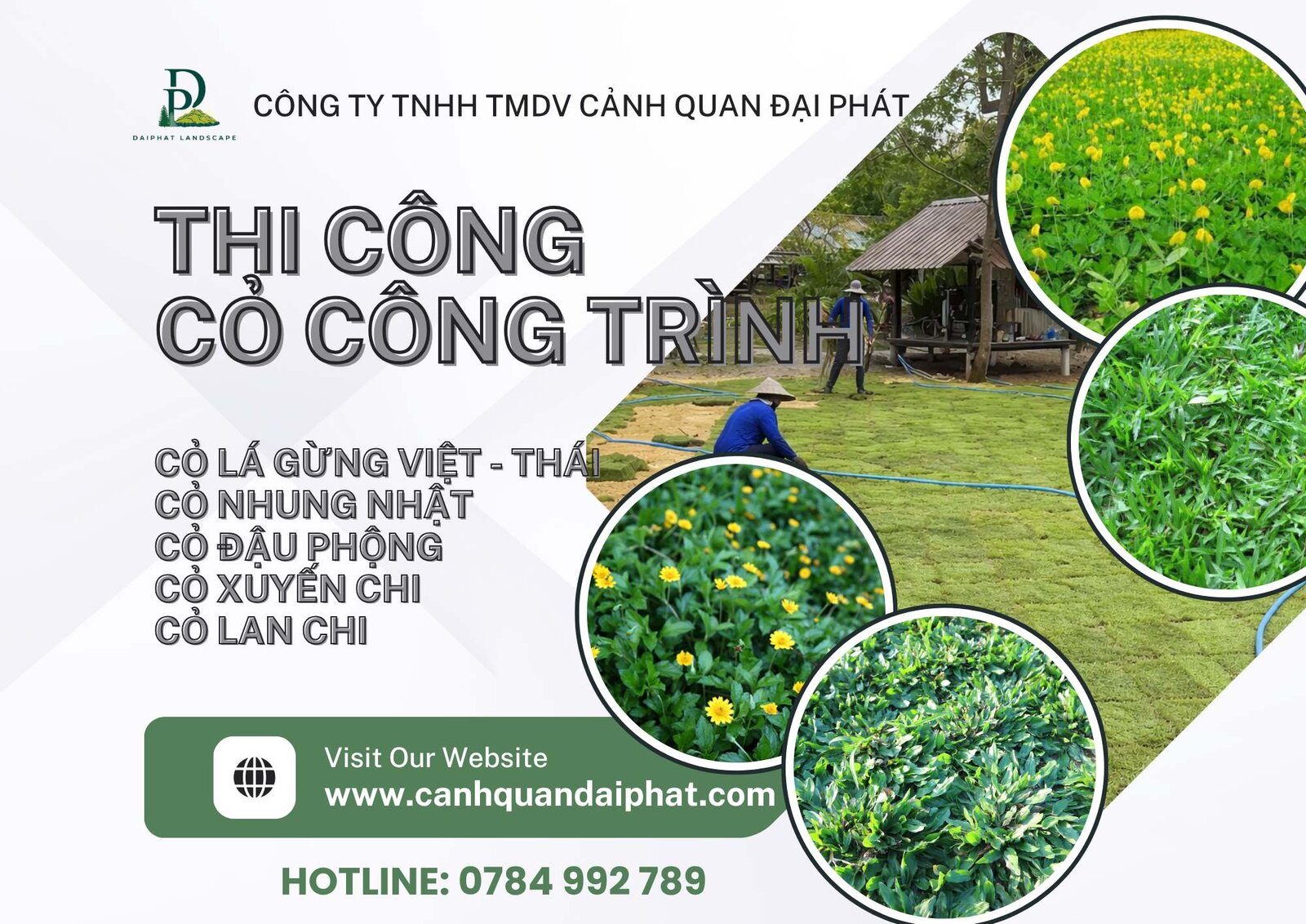thi công cỏ lá gừng cỏ nhung nhật 170426 1.jpg