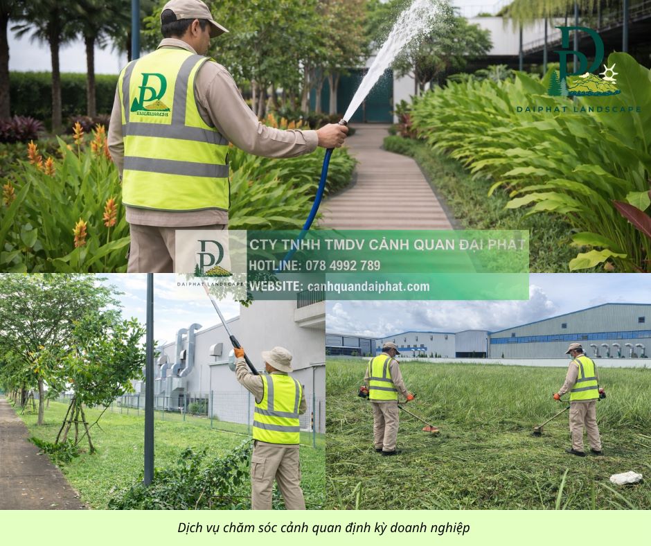 chăm sóc cảnh quan sân vườn cắt cỏ cắt tỉa 210426 2.jpg