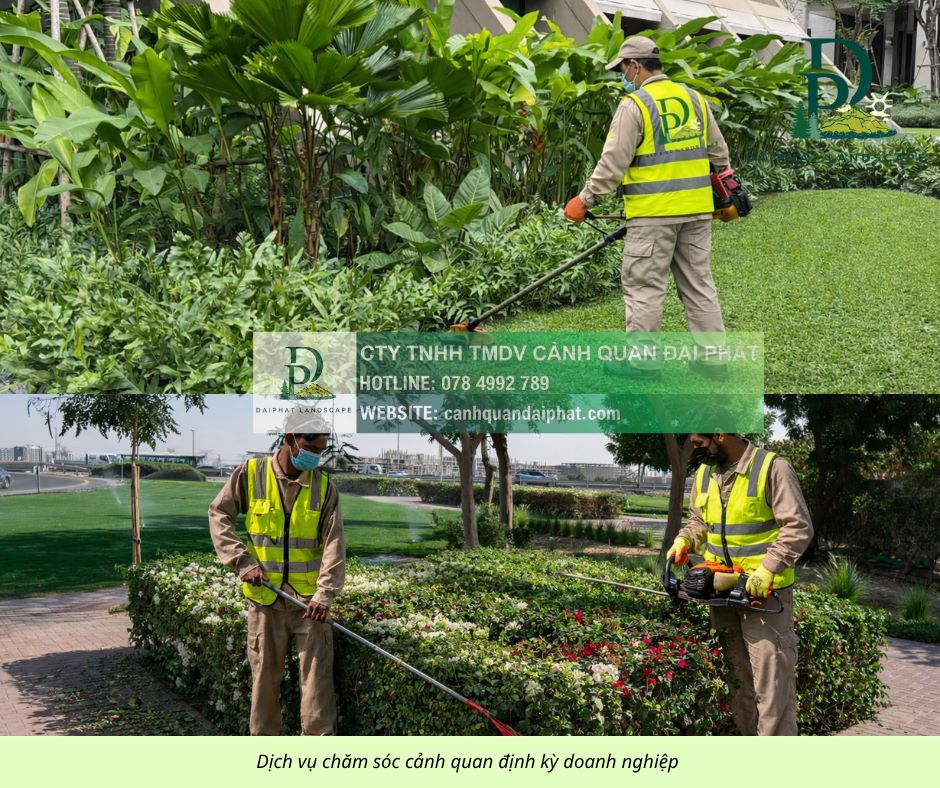 chăm sóc cảnh quan sân vườn cắt cỏ cắt tỉa 210426 3.jpg