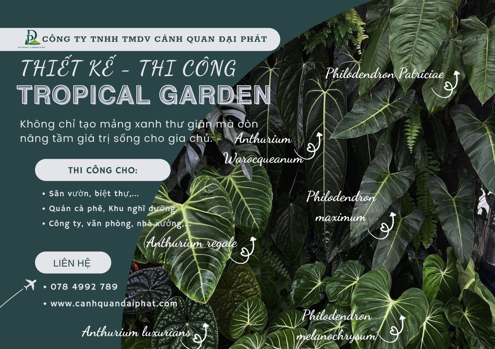 Thiết kế thi công sân vườn nhiệt đới 240426 3.jpg