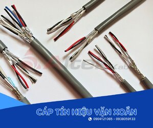 Casual Outfit (56).jpg