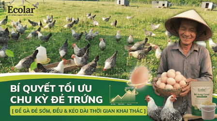 cac-yeu-to-anh-huong-den-thoi-gian-bat-dau-de-trung_171e765456774303b57d1fdaa4ea6e21.png