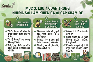nhung-sai-lam-khien-ga-ai-cap-cham-de_1b96ebf0ca3b42739409a1a5d39e29c8.png