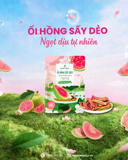 657316806_1521168480016321_4037272468258906072_n (1).jpg