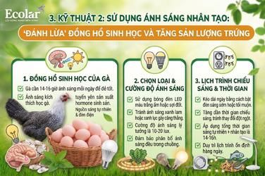 ng-nhan-tao-danh-lua-dong-ho-sinh-hoc_81a19a54bbe24e8c96005e7787807f33.png