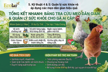 uan-ly-suc-khoe-meo-dan-gian-hieu-qua_0cc5c48b42424b72a724311db92090ec.png