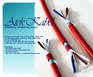 Casual Outfit (60).jpg