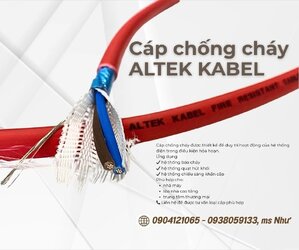 Casual Outfit (58).jpg