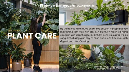 chăm sóc cây xanh văn phòng 030423 2.jpg