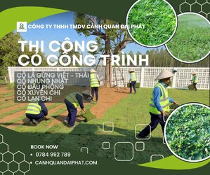 thi công cỏ nhung nhật nhà máy nhà xưởng Đồng Nai 4.jpg