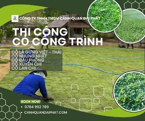 thi công cỏ nhung nhật nhà máy nhà xưởng Đồng Nai 5.jpg