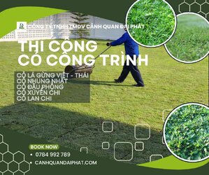 thi công cỏ nhung nhật nhà máy nhà xưởng Đồng Nai 7.jpg