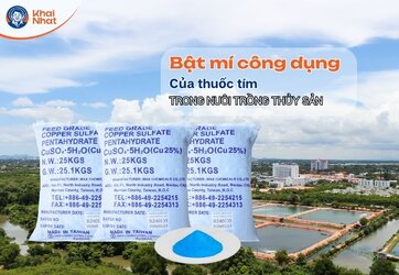 Ứng dụng đồng sunfat trong nuôi trồng thủy sản