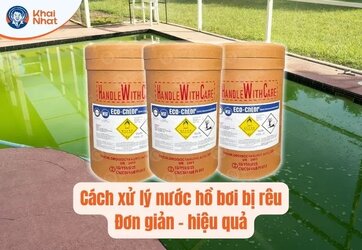 Hướng dẫn cách xử lý nước hồ bơi bị nhiễm rêu hiệu quả