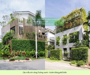 thiết kế thi công tường xanh vườn đứng 210126 06.jpg