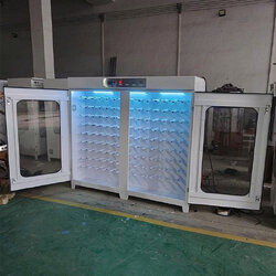 Tu-say-giay-60-doi.jpg