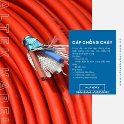 Chưa có tên (1200 x 1200 px) (22).jpg