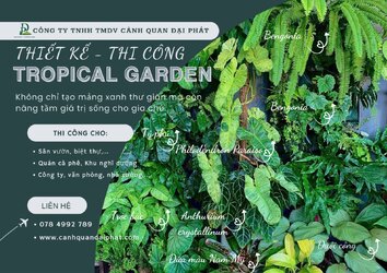 Thiết kế thi công sân vườn nhiệt đới 240426 4.jpg