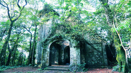 du-lich-kham-pha-vuon-quoc-gia-ba-vi.jpg