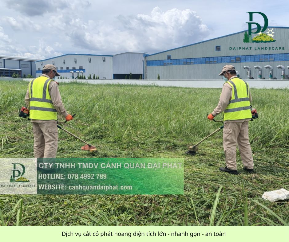 cắt cỏ diện tích lớn giá rẻ 19042026 2.jpg