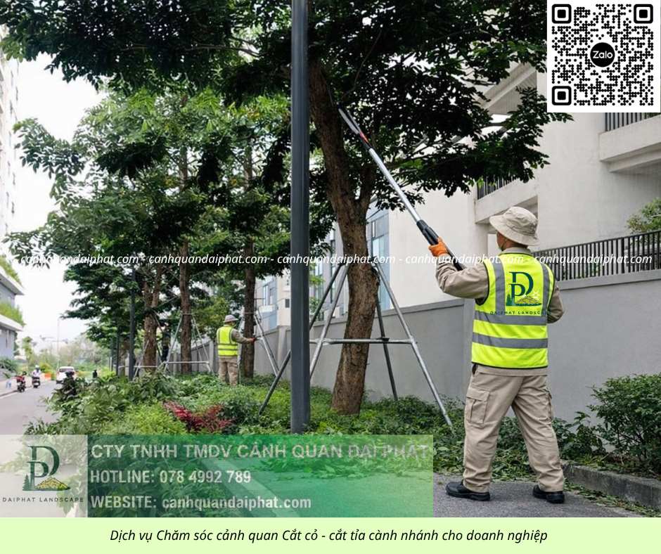 Dịch vụ cưa cây cắt cỏ doanh nghiệp đồng nai 050226 2.jpg