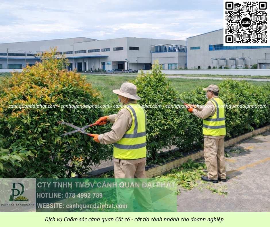 Dịch vụ cưa cây cắt cỏ doanh nghiệp đồng nai 050226 4.jpg