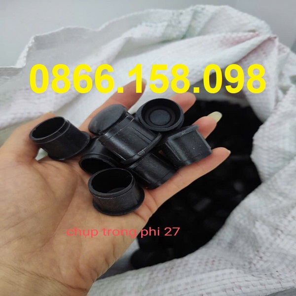 nap-nhua-bit-dau-sat-hop-phi-27mm.jpg