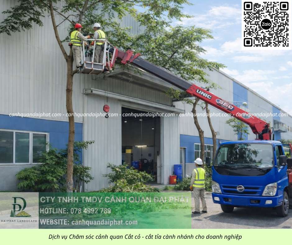 Dịch vụ cưa cây cắt cỏ doanh nghiệp đồng nai 050226 7.jpg