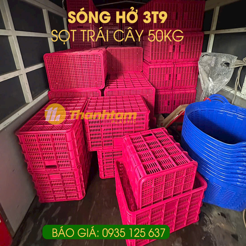 song-ho-3t9-1.jpg