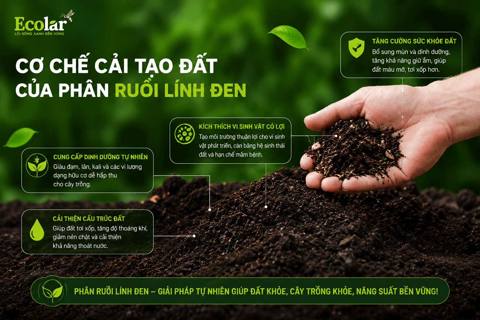 phan-ruoi-linh-den-giup-cai-tao-dat-va-nuoi-re-nhu-the-nao_bafbf260d9e7469c991ae88b7385ef37 (1).png