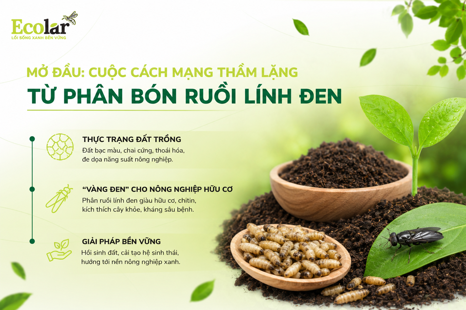 g-tham-lang-tu-phan-bon-ruoi-linh-den_5811a65919974717a898ecf1598e55b3.png