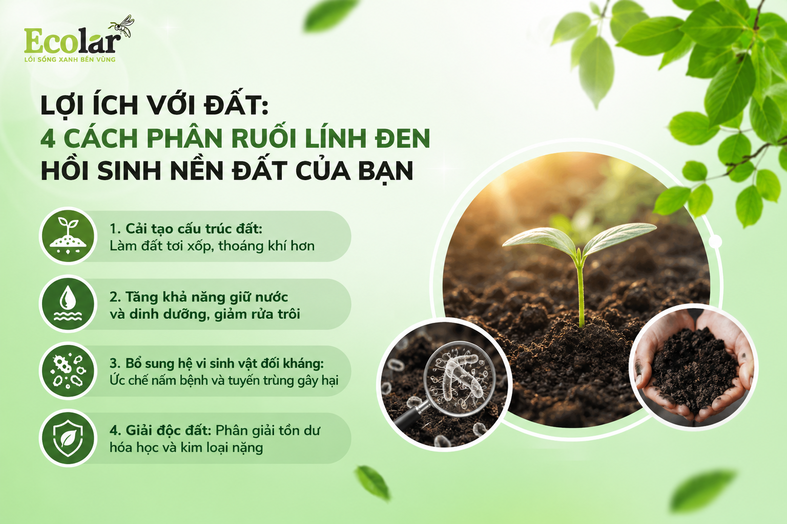 uoi-linh-den-hoi-sinh-nen-dat-cua-ban_38a880eb19bd4b8ea0c4c0a352ad075b.png