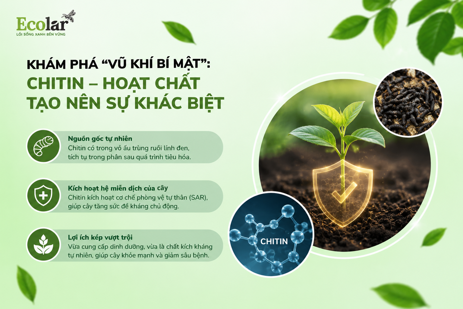 chitin-hoat-chat-tao-nen-su-khac-biet_95f9e9d0f12b48928a78340663ffb54a.png