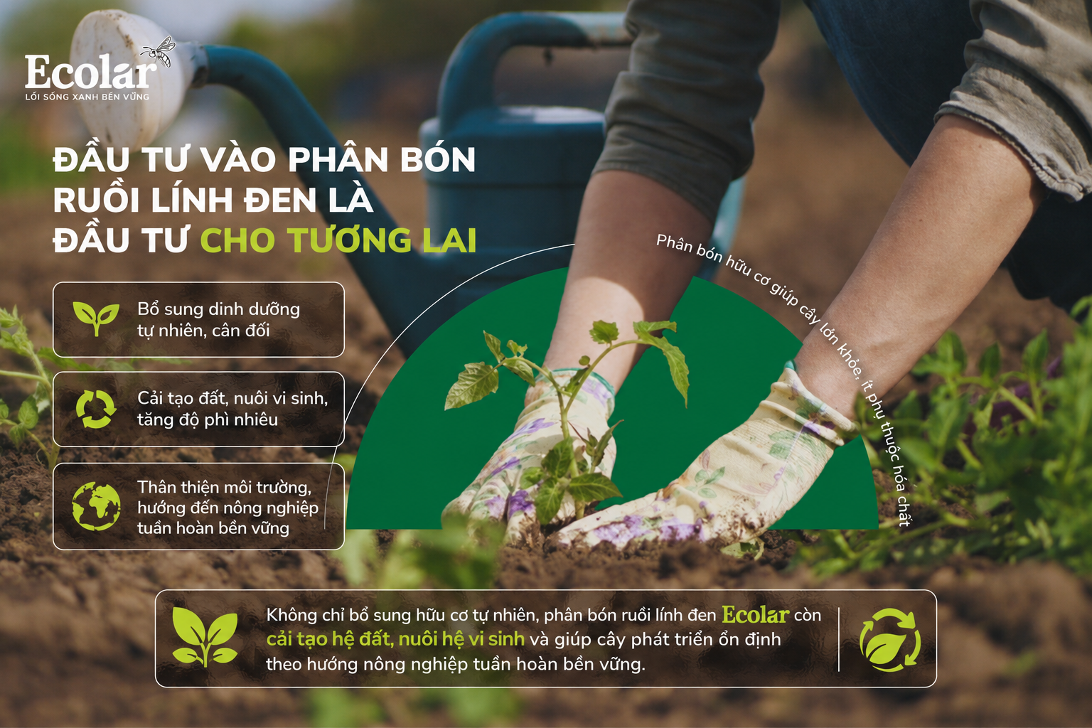 ruoi-linh-den-la-dau-tu-cho-tuong-lai_025927279c234f47a6c2e9eeb8ad6939.png