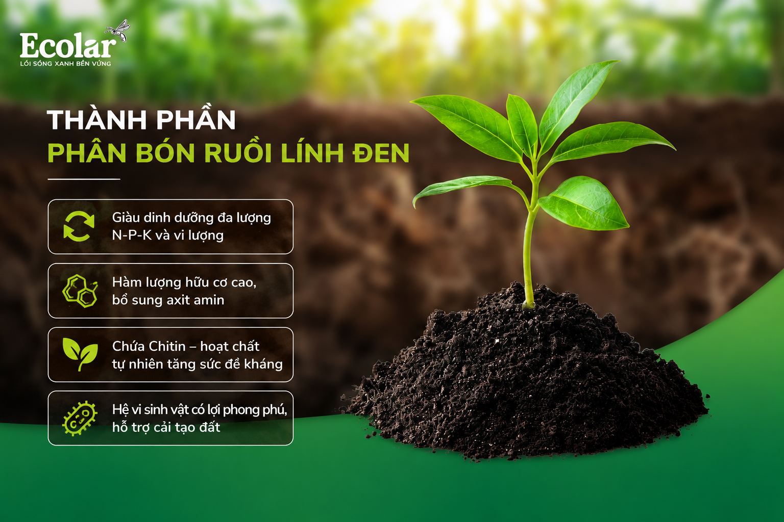 thanh-phan-phan-bon-ruoi-linh-den-va-co-che-cai-tao-dat_7868861f80074f089a1143a40759474d.png