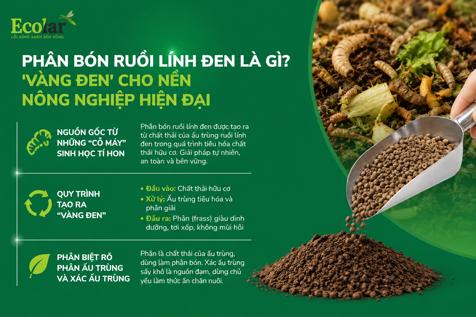vang-den-cho-nen-nong-nghiep-hien-dai_5052fc8c961a4163b71841e9fdf30038.png