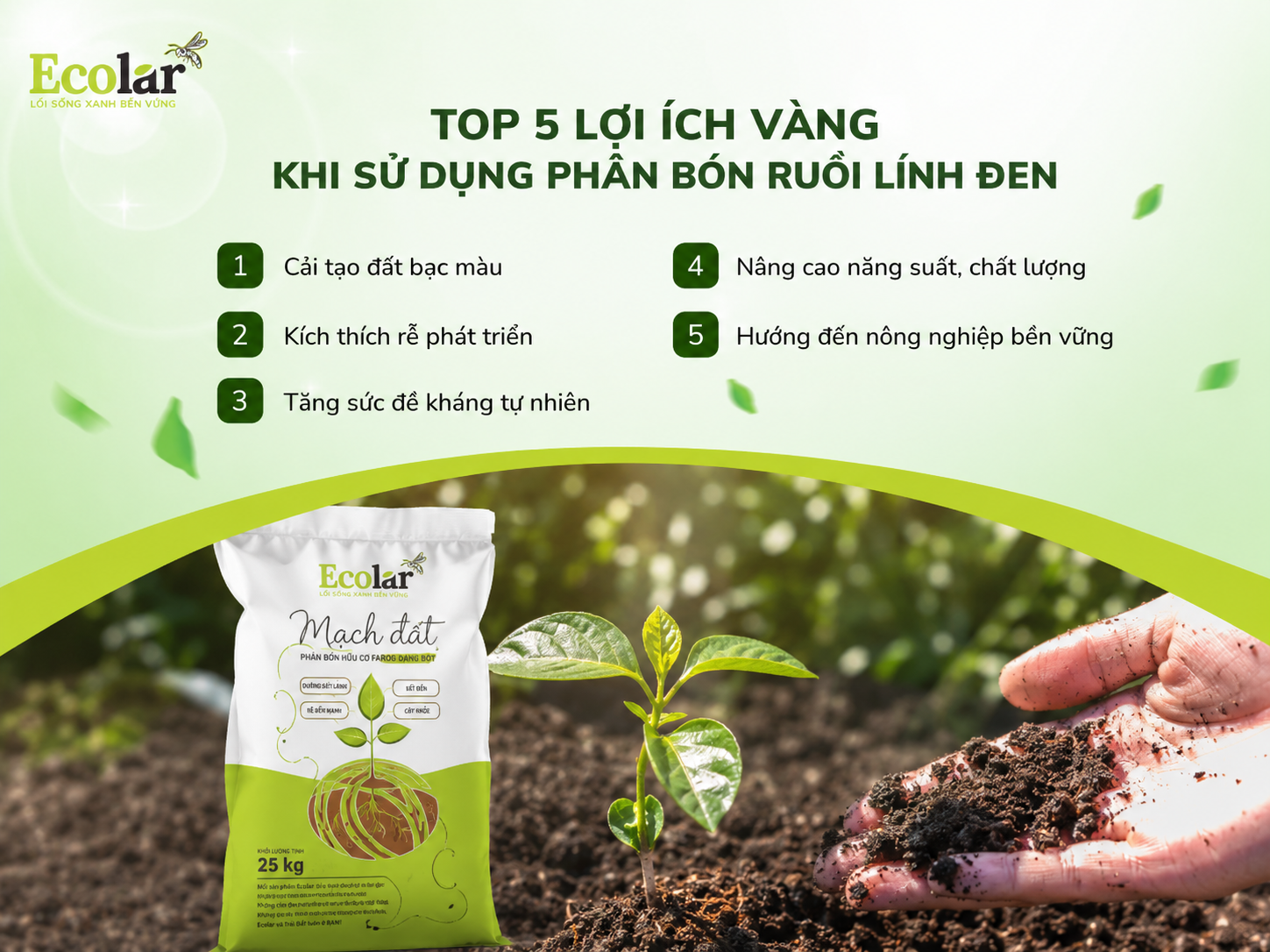 ng-khi-su-dung-phan-bon-ruoi-linh-den_b206bbac33af45918994a932798336ad.png