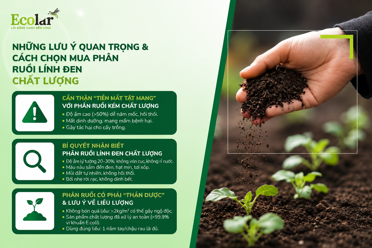hon-mua-phan-ruoi-linh-den-chat-luong_98cbd04fdc4d43f794619785949f6759.png