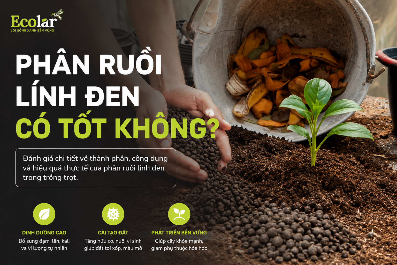 phan-ruoi-linh-den-co-tot-khong-uu-diem-va-thuc-te-su-dung_843bf8a3d8764ae28fb981fcbea84e33 (1).png