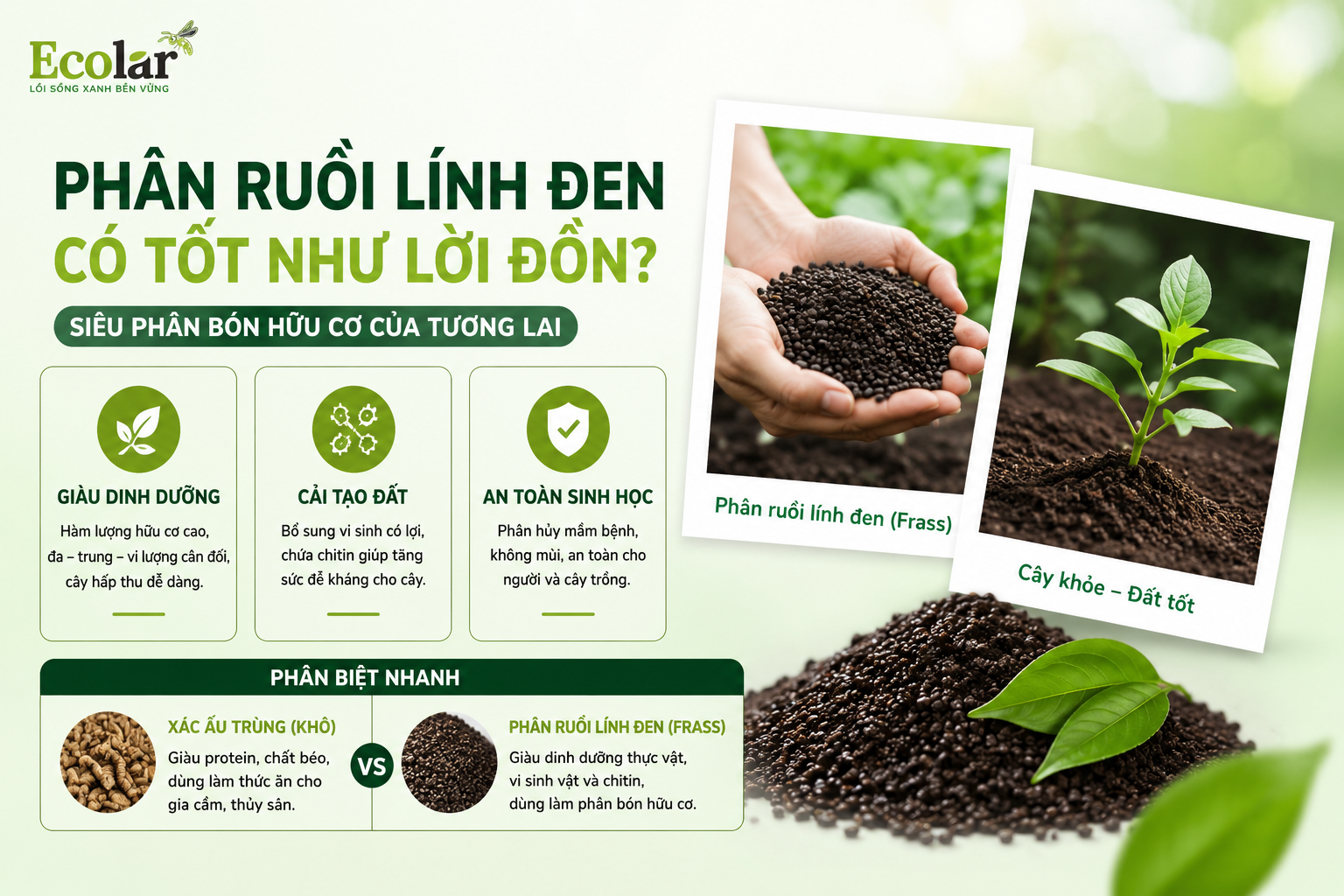 i-linh-den-co-thuc-su-tot-nhu-loi-don_d98689e3890247348f0759b3018a8a26.png