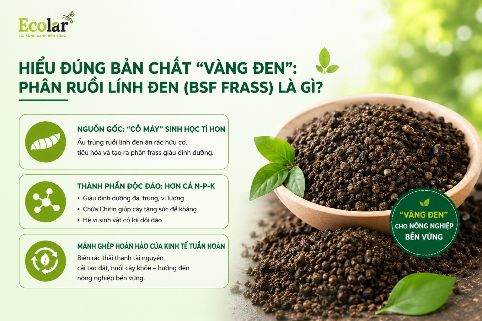 en-phan-ruoi-linh-den-bsf-frass-la-gi_fbaf3374ac3b483b95b7befefe8f3bb7.png